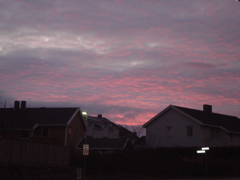 Pink morning
