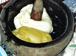 foutou Grand developpeur de biceps, triceps, pectoraux et dorsaux